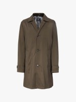 Castanho Claro Castanho Claro