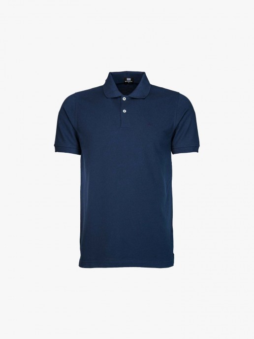 Polo bsico