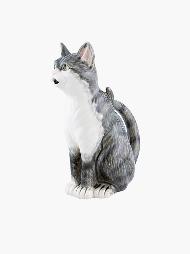 Jarro Gato