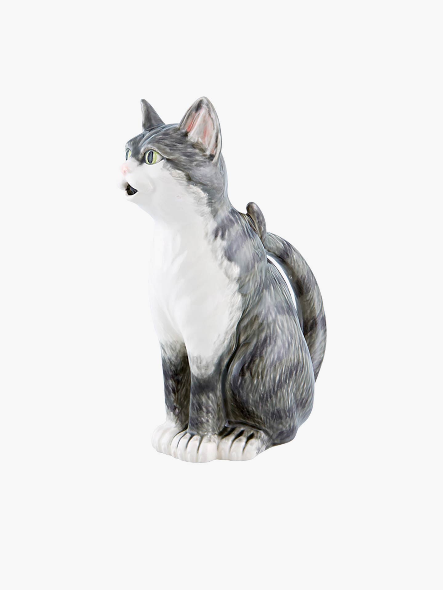 Jarro Gato