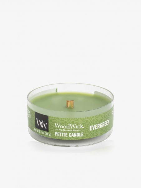 Vela Evergreen Petite Candle