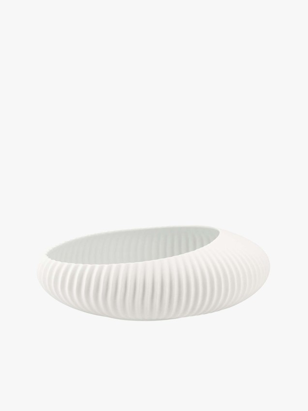 Centro de Mesa Shell White