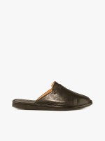 Castanho