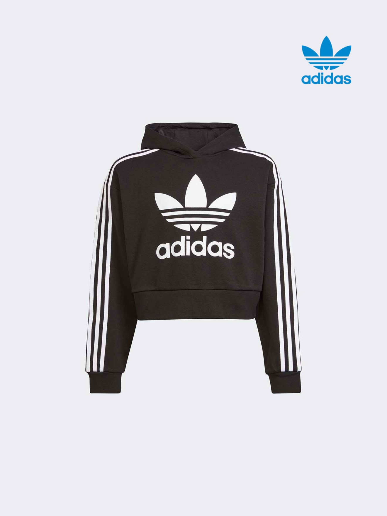 Sweatshirt Cropped Fit