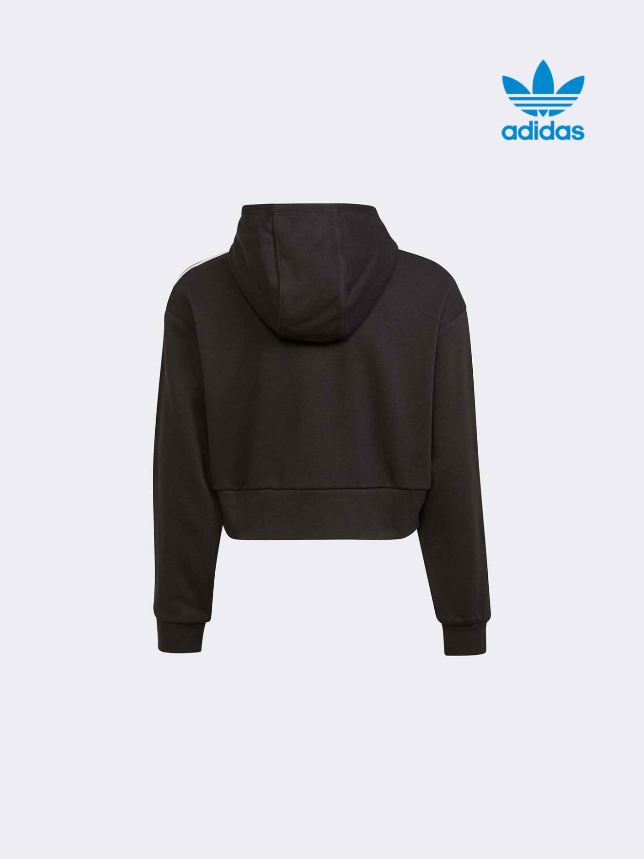 Sweatshirt Cropped Fit