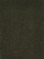 Verde Escuro