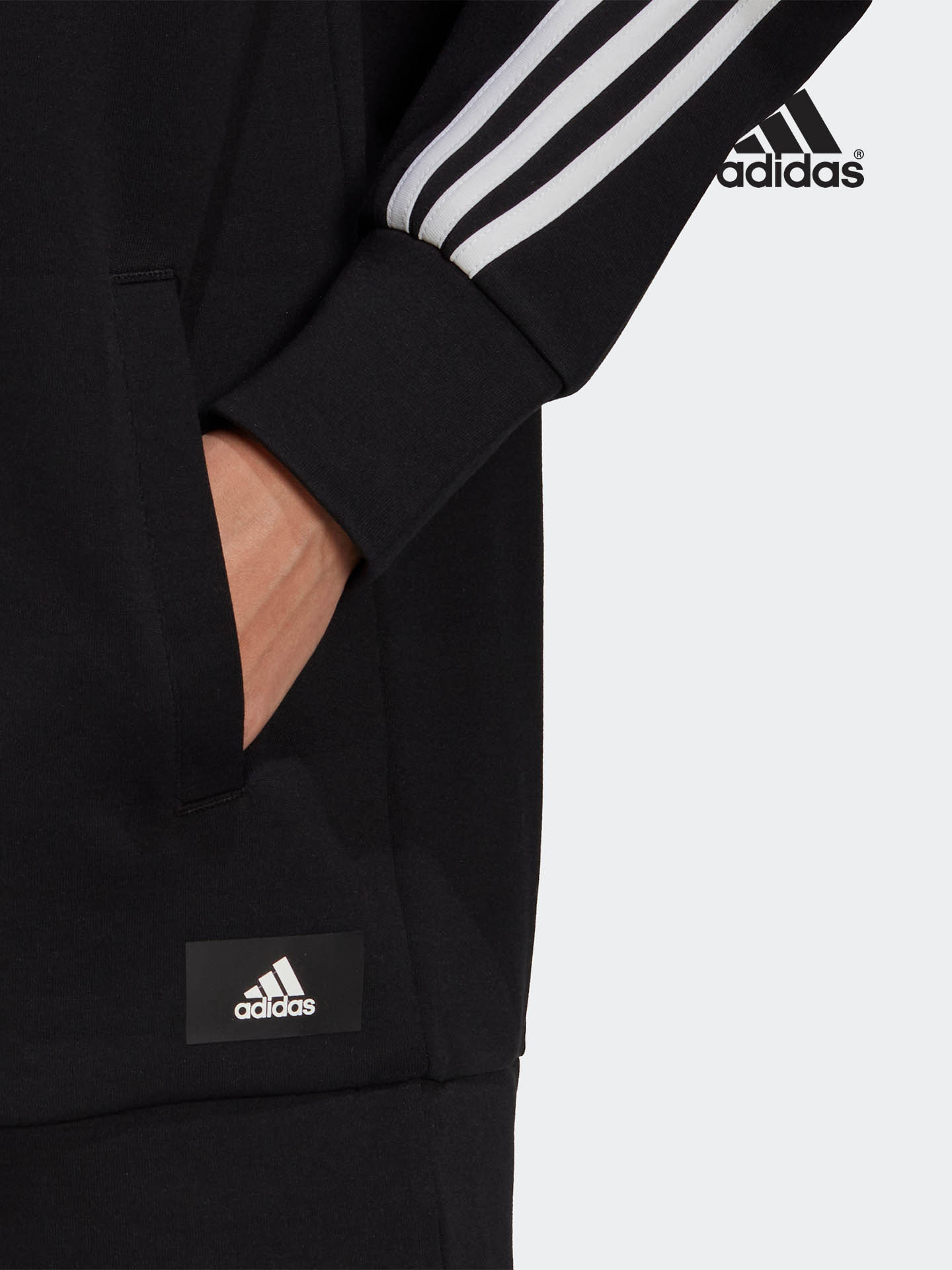 Sweatshirt Comprida com Capuz