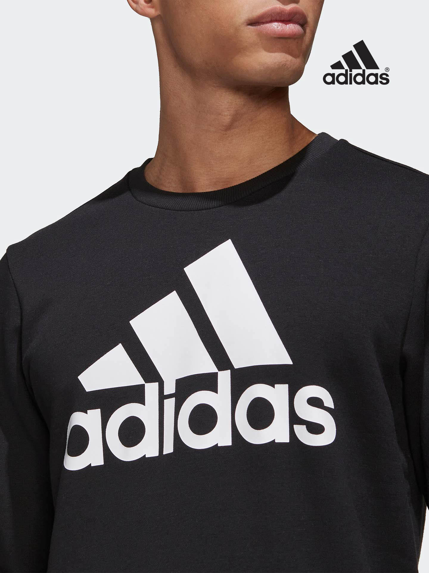 Sweatshirt Essentials