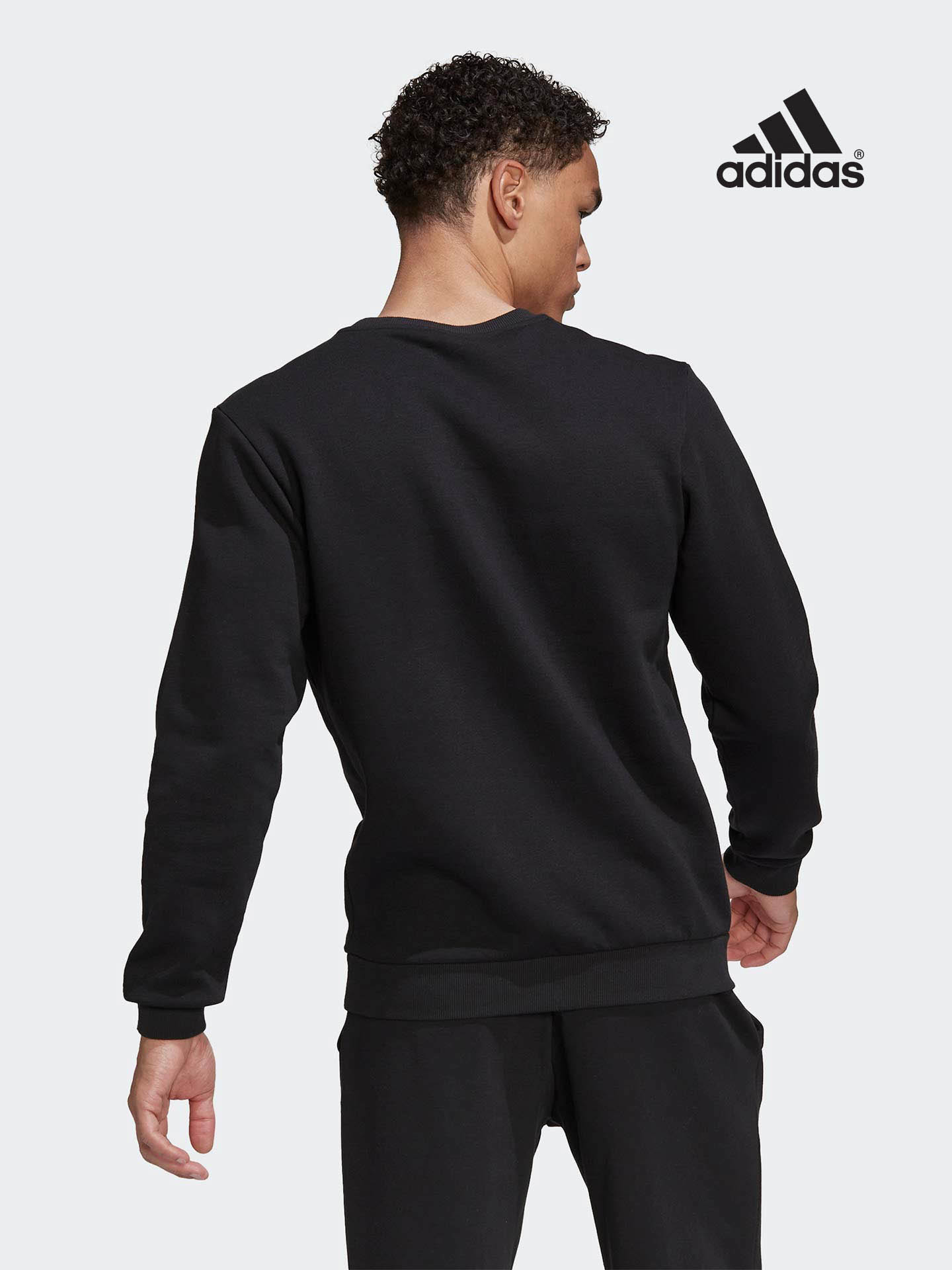 Sweatshirt Essentials