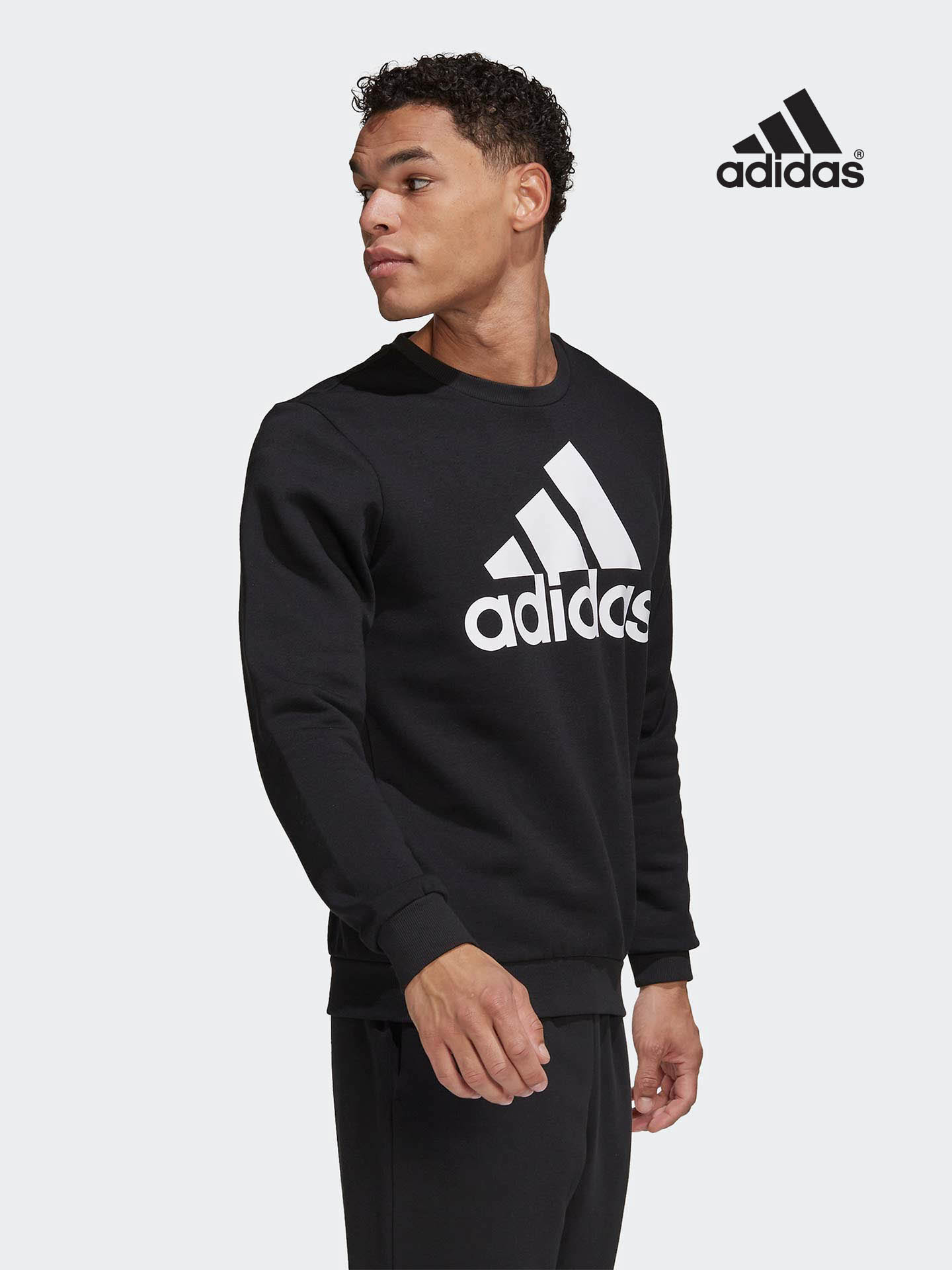 Sweatshirt Essentials