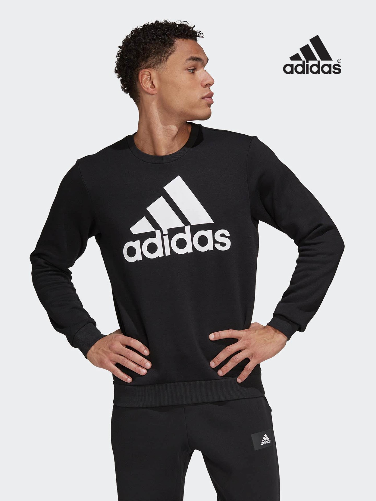 Sweatshirt Essentials