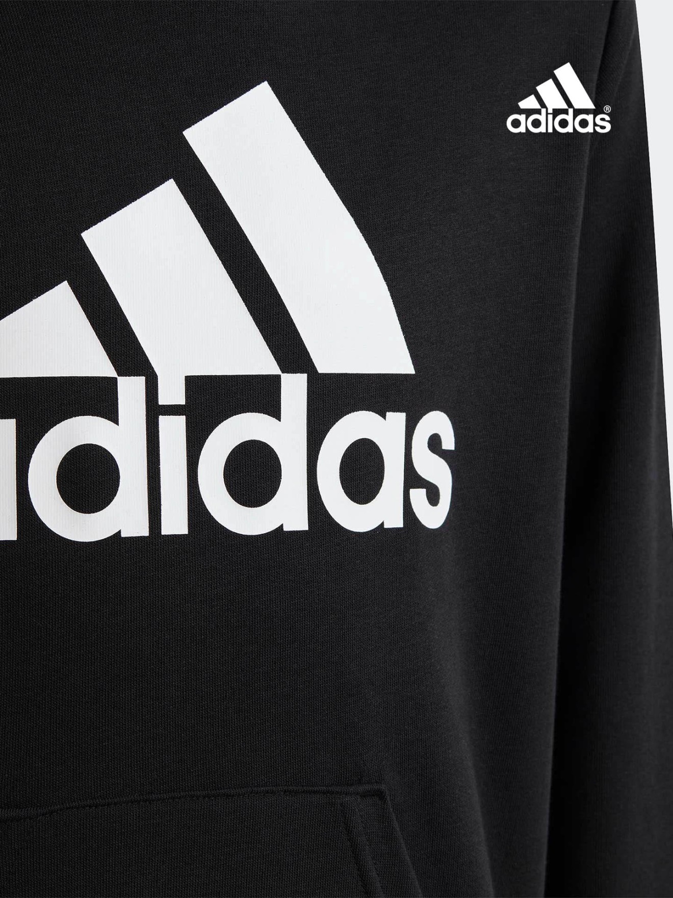 Sweatshirt com Capuz