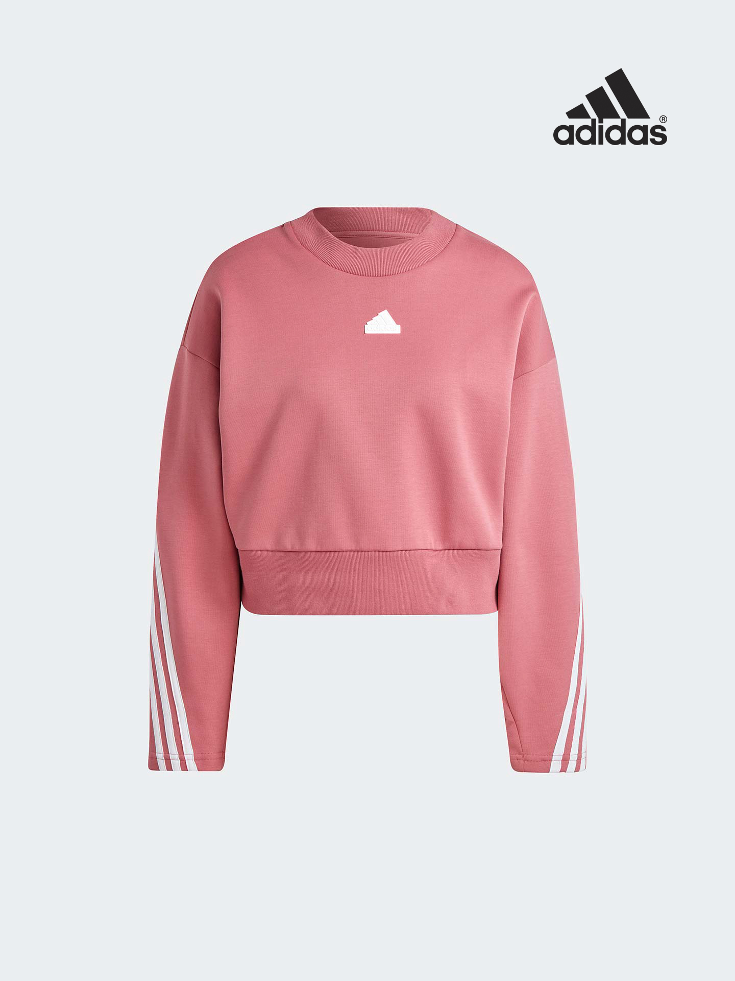 Sweatshirt com Capuz