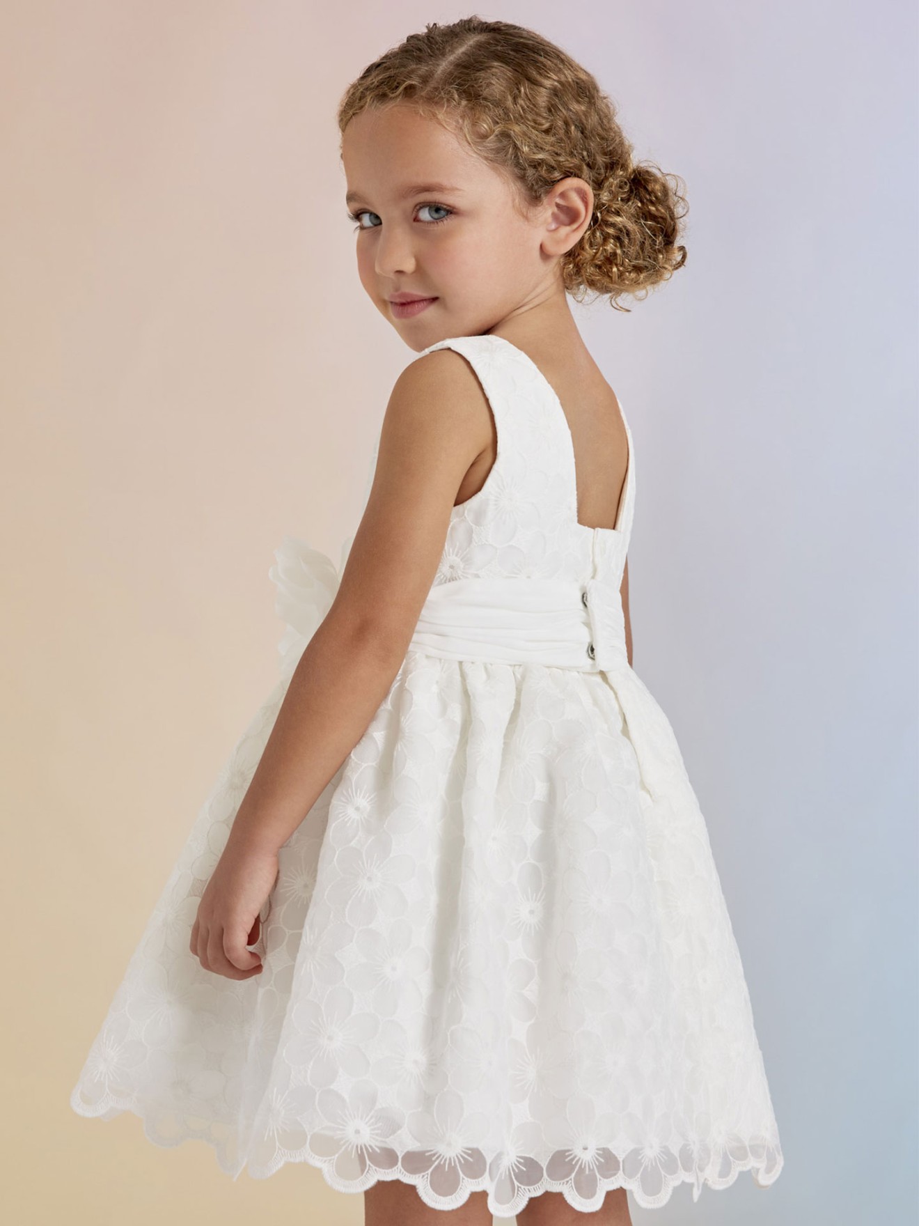 Vestido de Organza Bordado