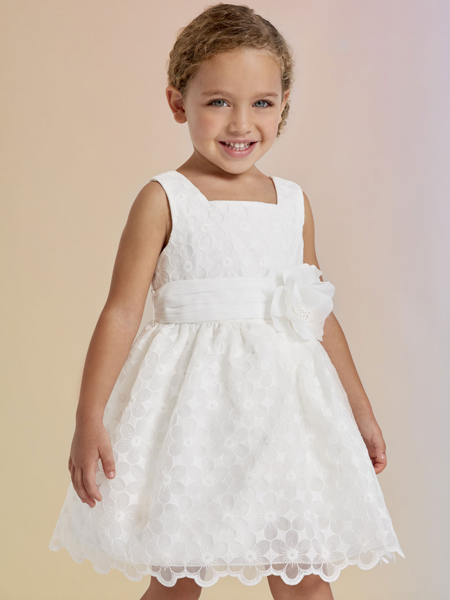 Vestido de Organza Bordado