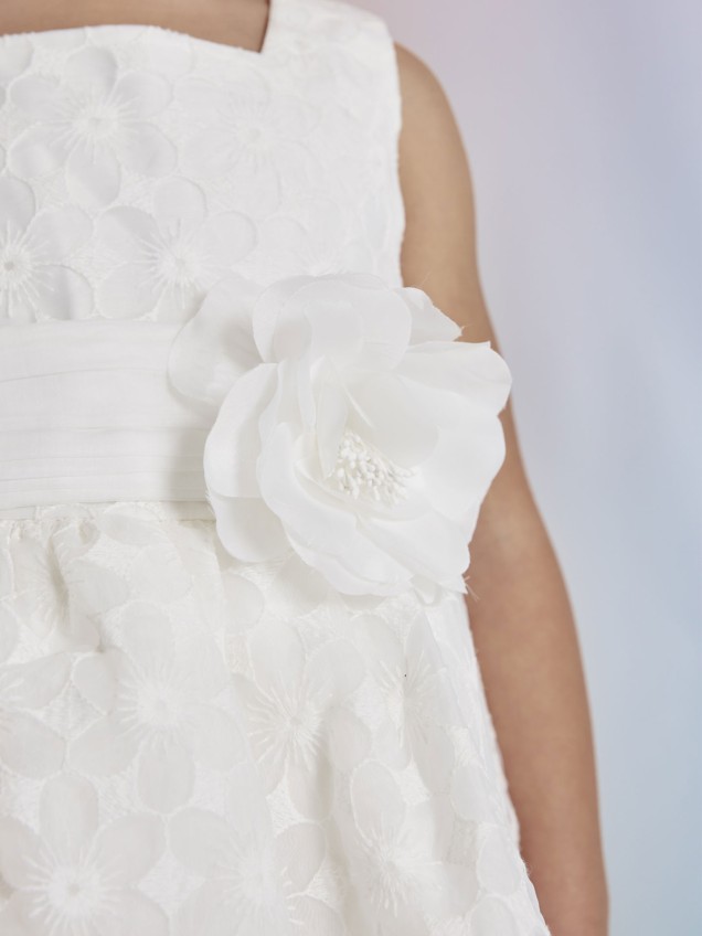 Vestido de Organza Bordado