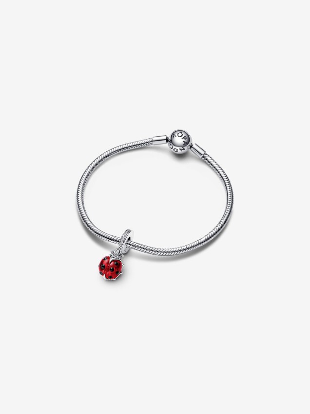 Conta Pendente Red Ladybird