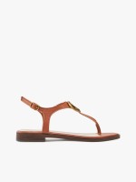 Camel Camel