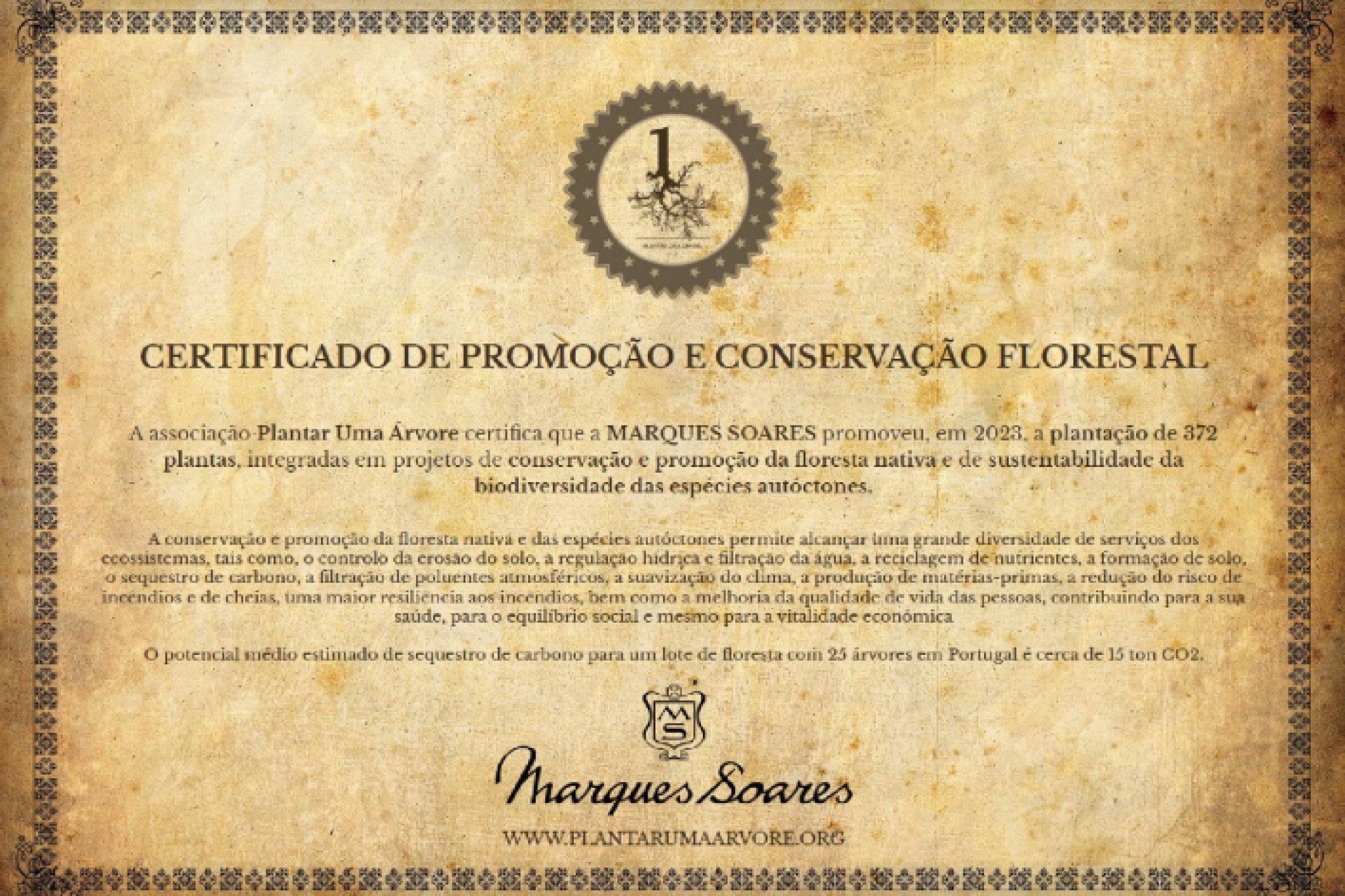 MARQUES SOARES PROMOVE REFLORESTA��O DO BUSSACO
