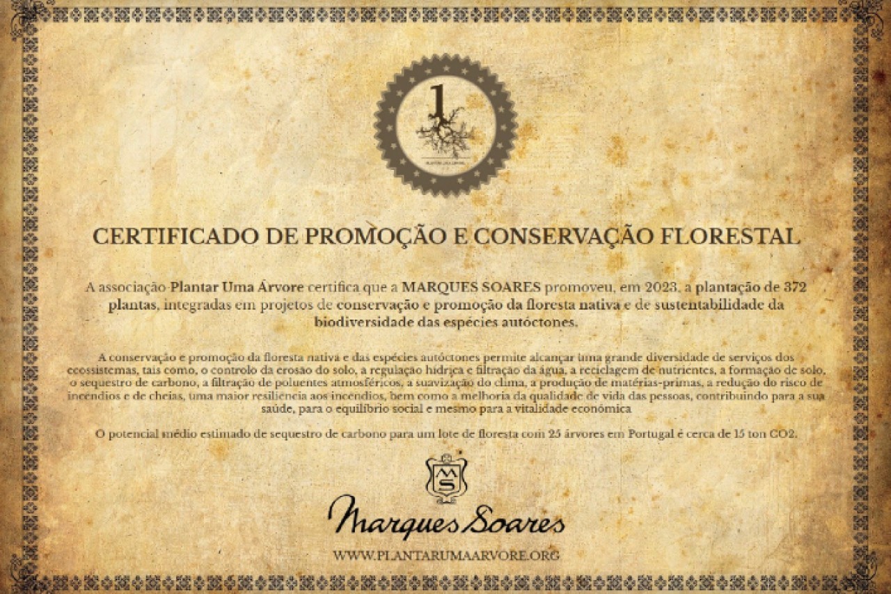MARQUES SOARES PROMOVE REFLORESTAÇÃO DO BUSSACO