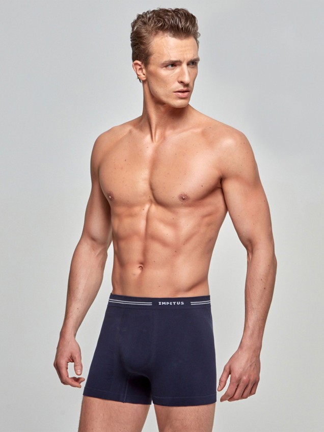 Boxer básico
