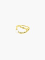 Dourado Dourado