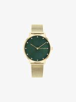 Dourado