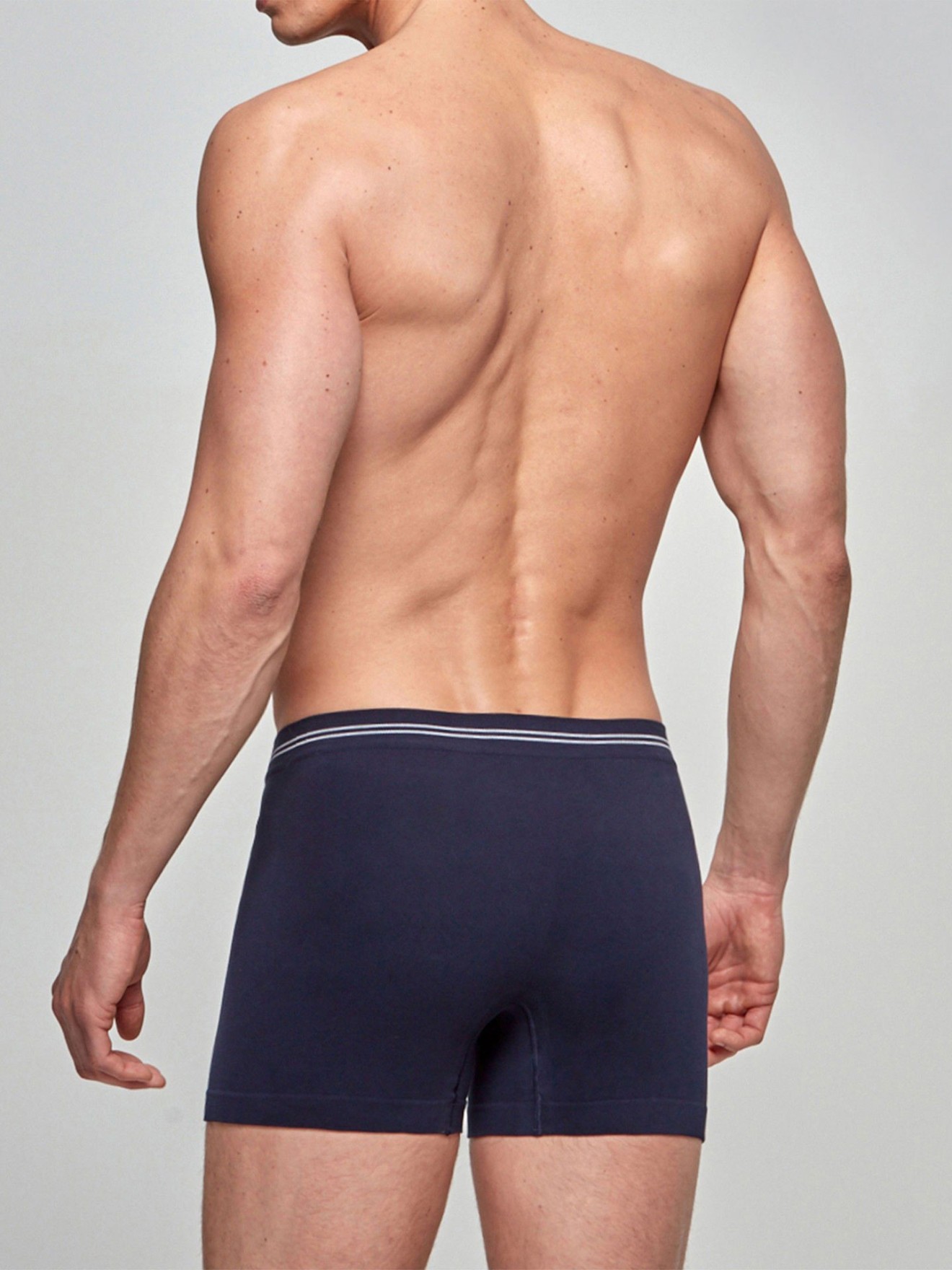 Boxer bsico