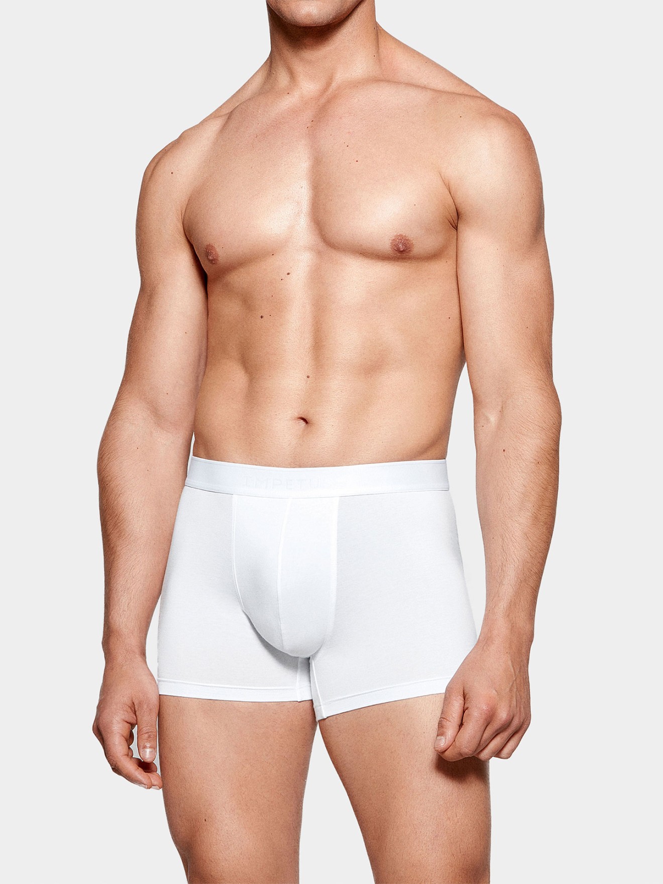 Boxer Executive em algodo