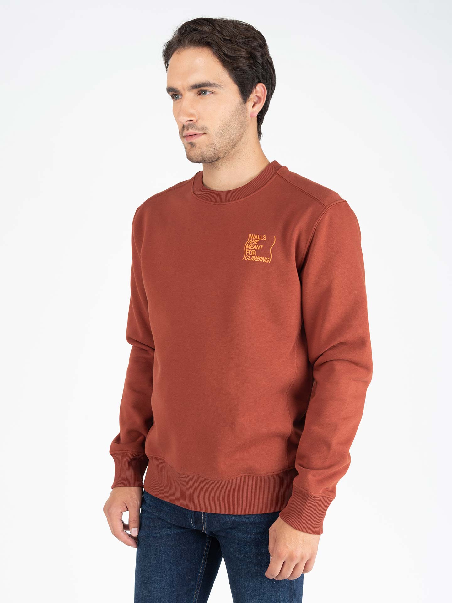 Sweatshirt Estampada