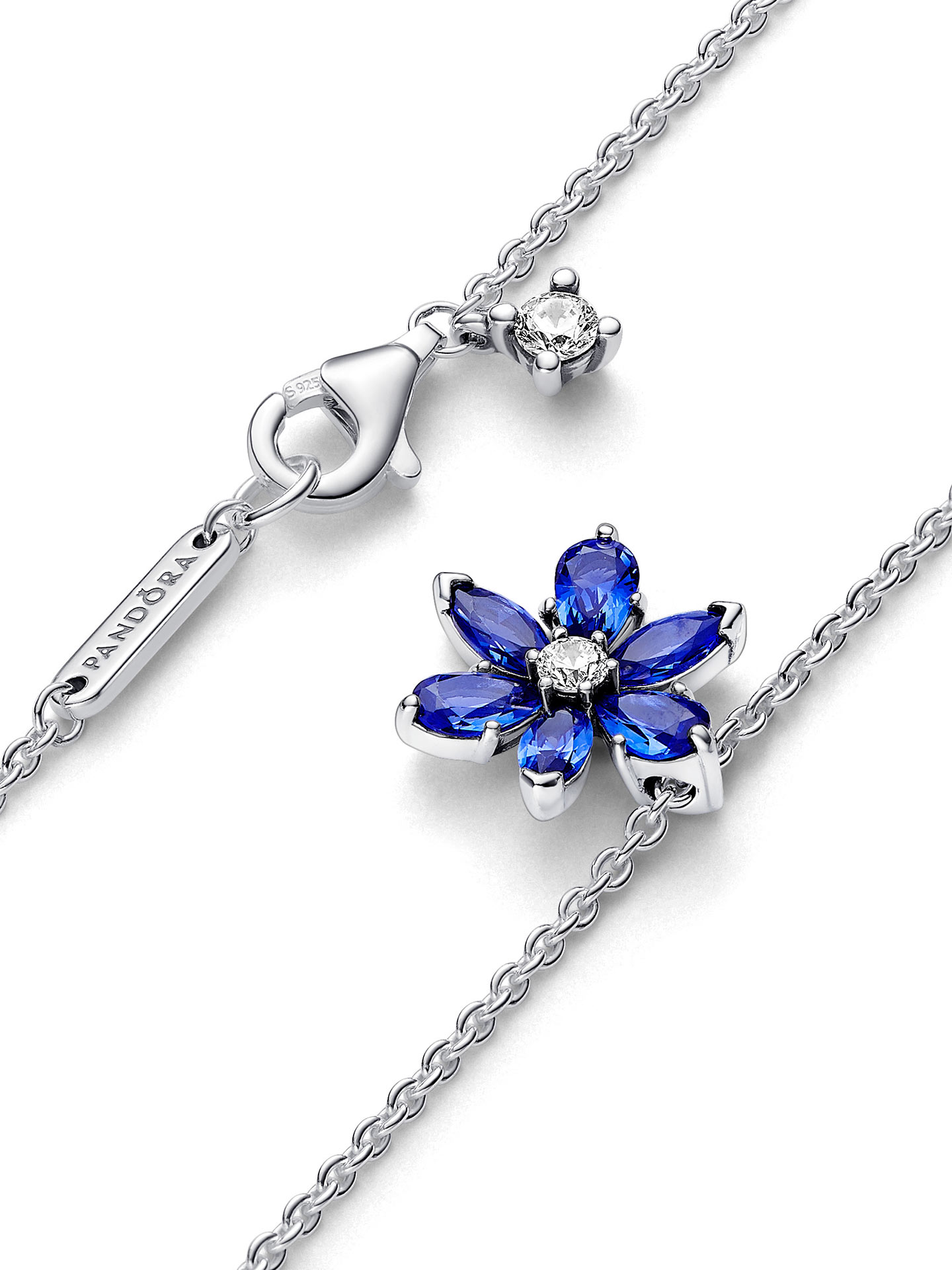 Colar Pendente Herbário Azul