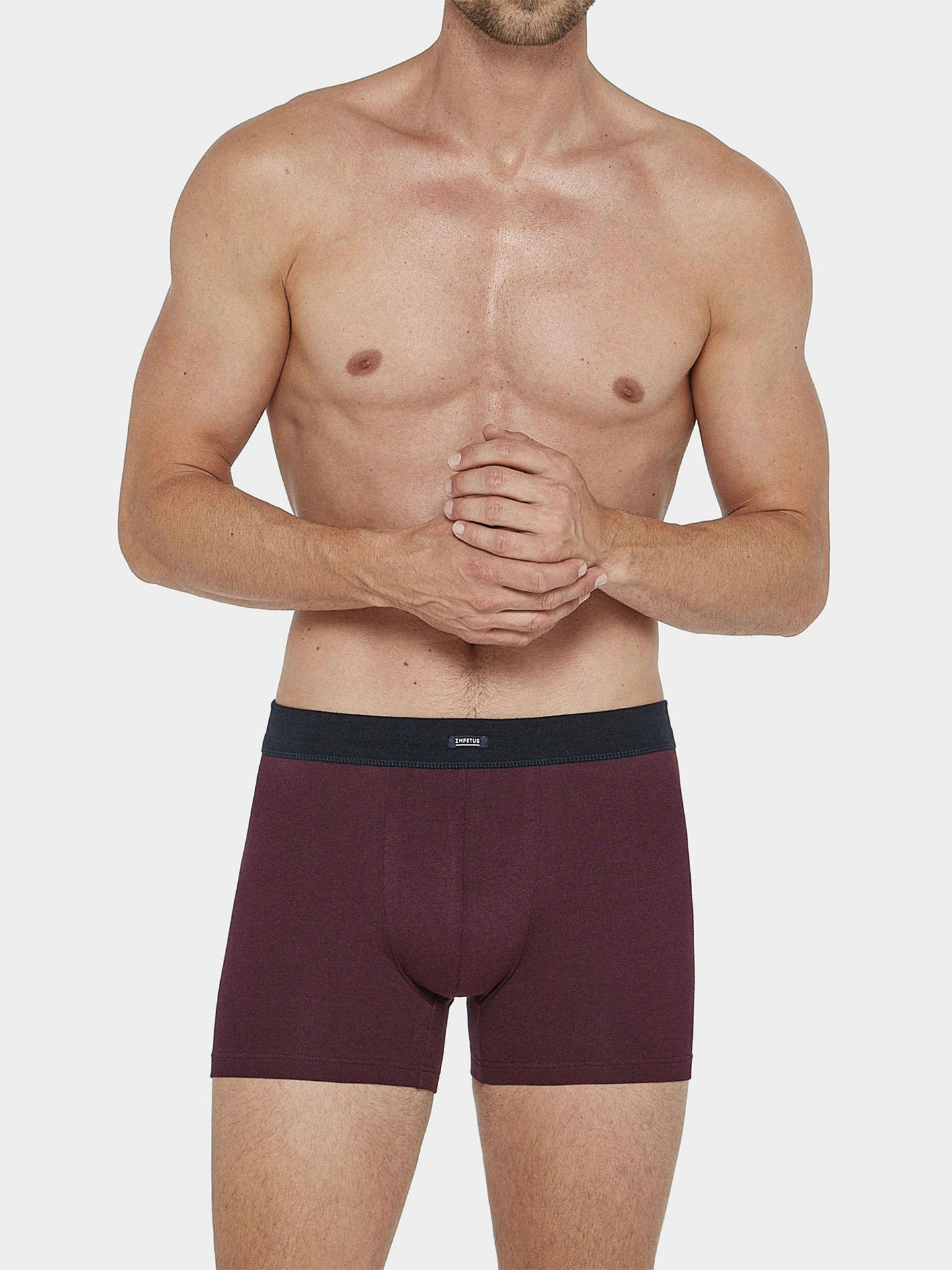 Boxer básico