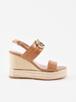 Camel Camel