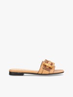 Camel Camel