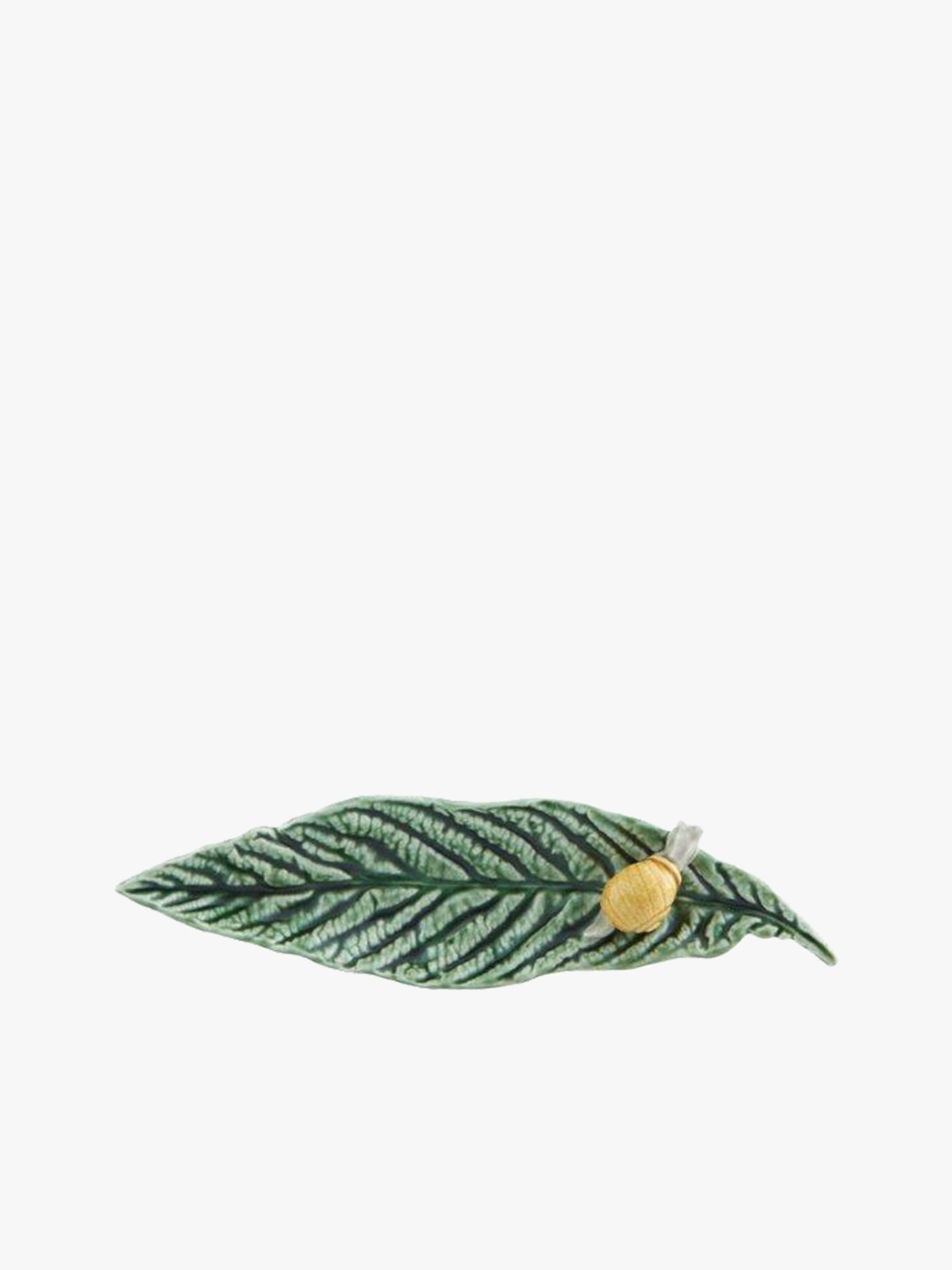 Folha Nespereira com Caracol