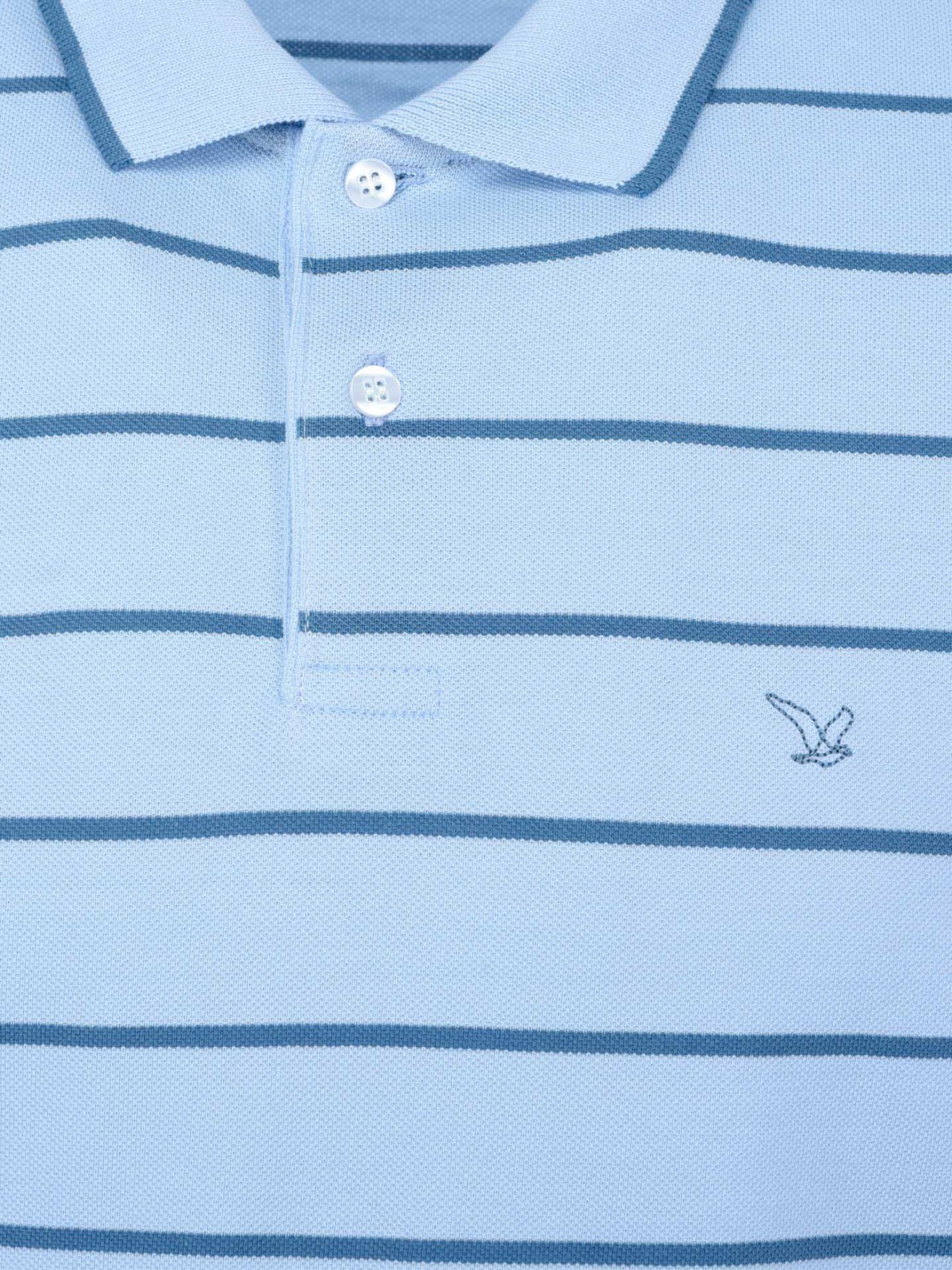 Polo s Riscas