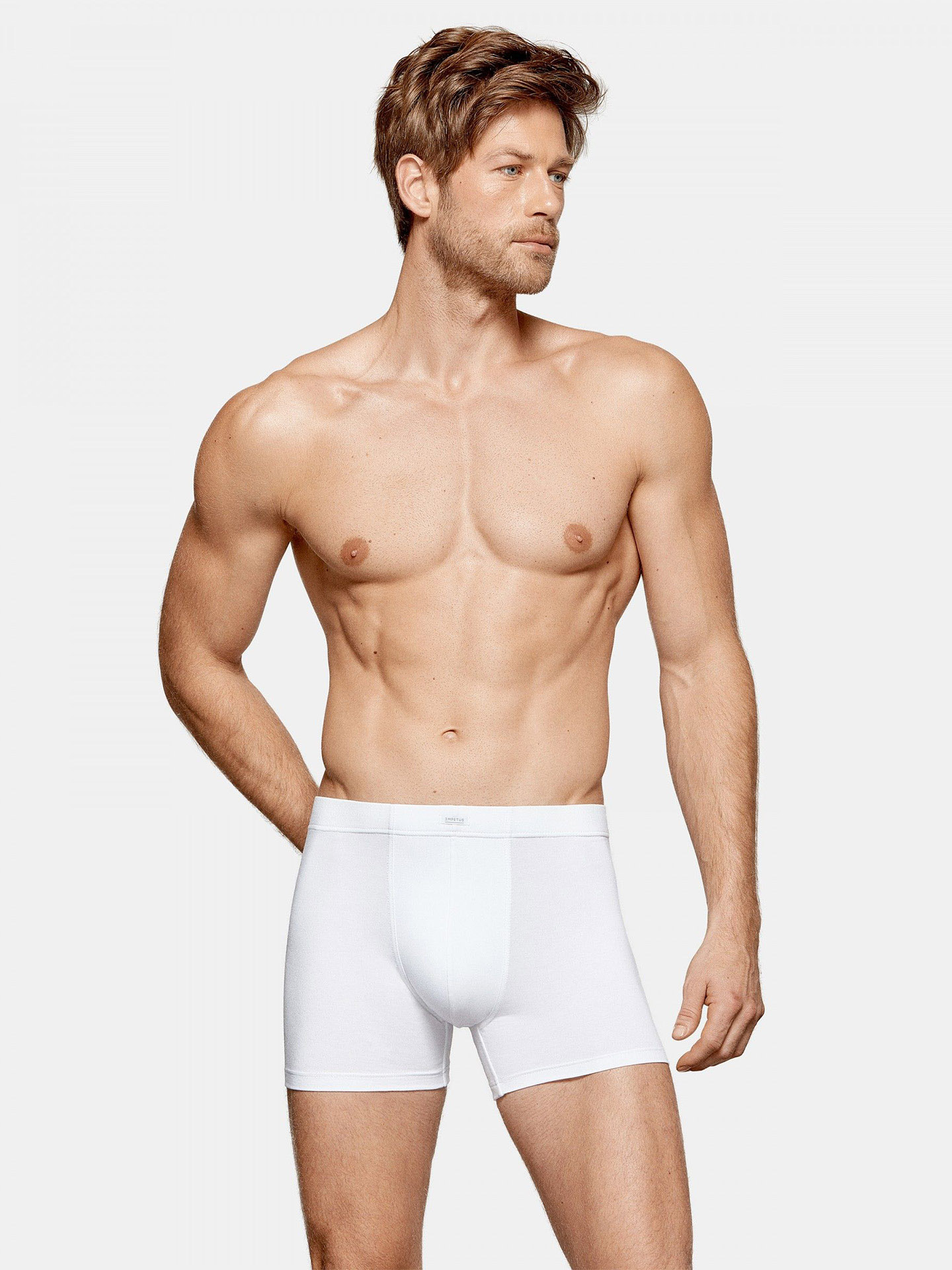 Boxer