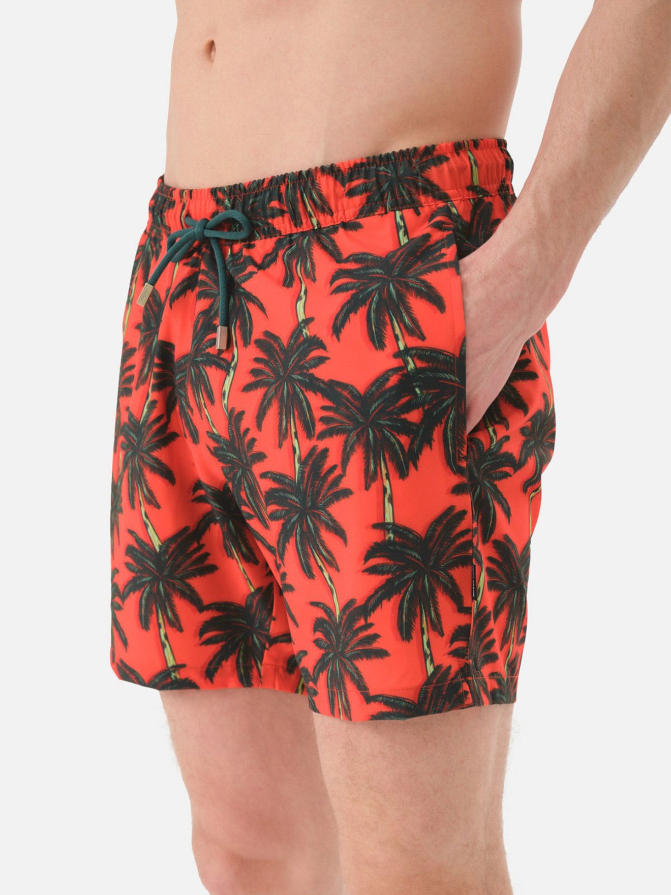 Calções de Banho Palm