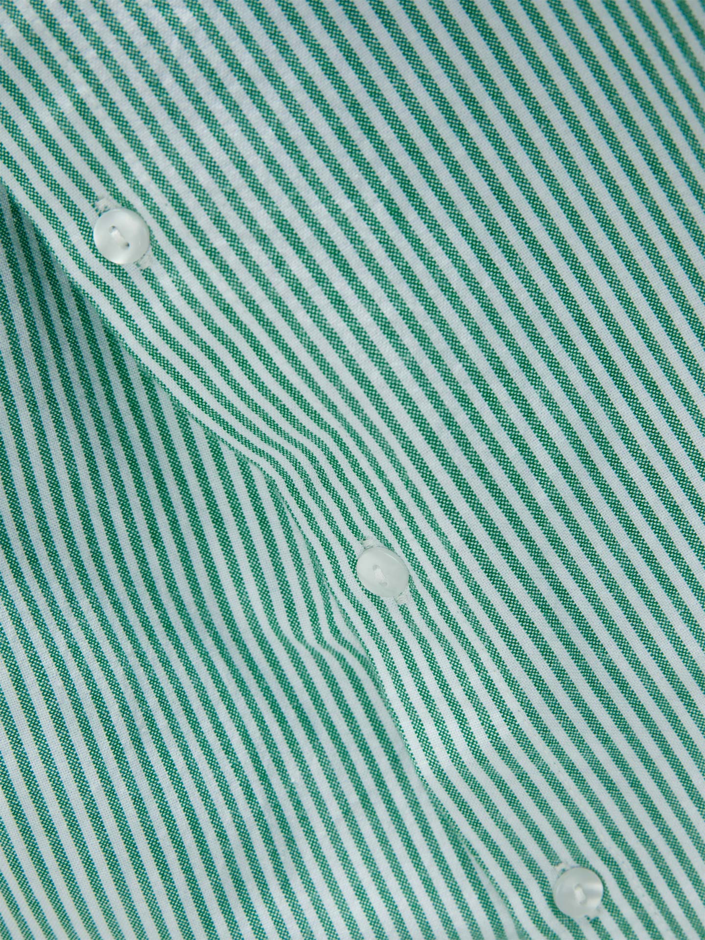 Camisa de Algodão