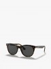 culos de Sol Wayfarer II