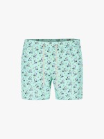 Verde Claro Verde Claro