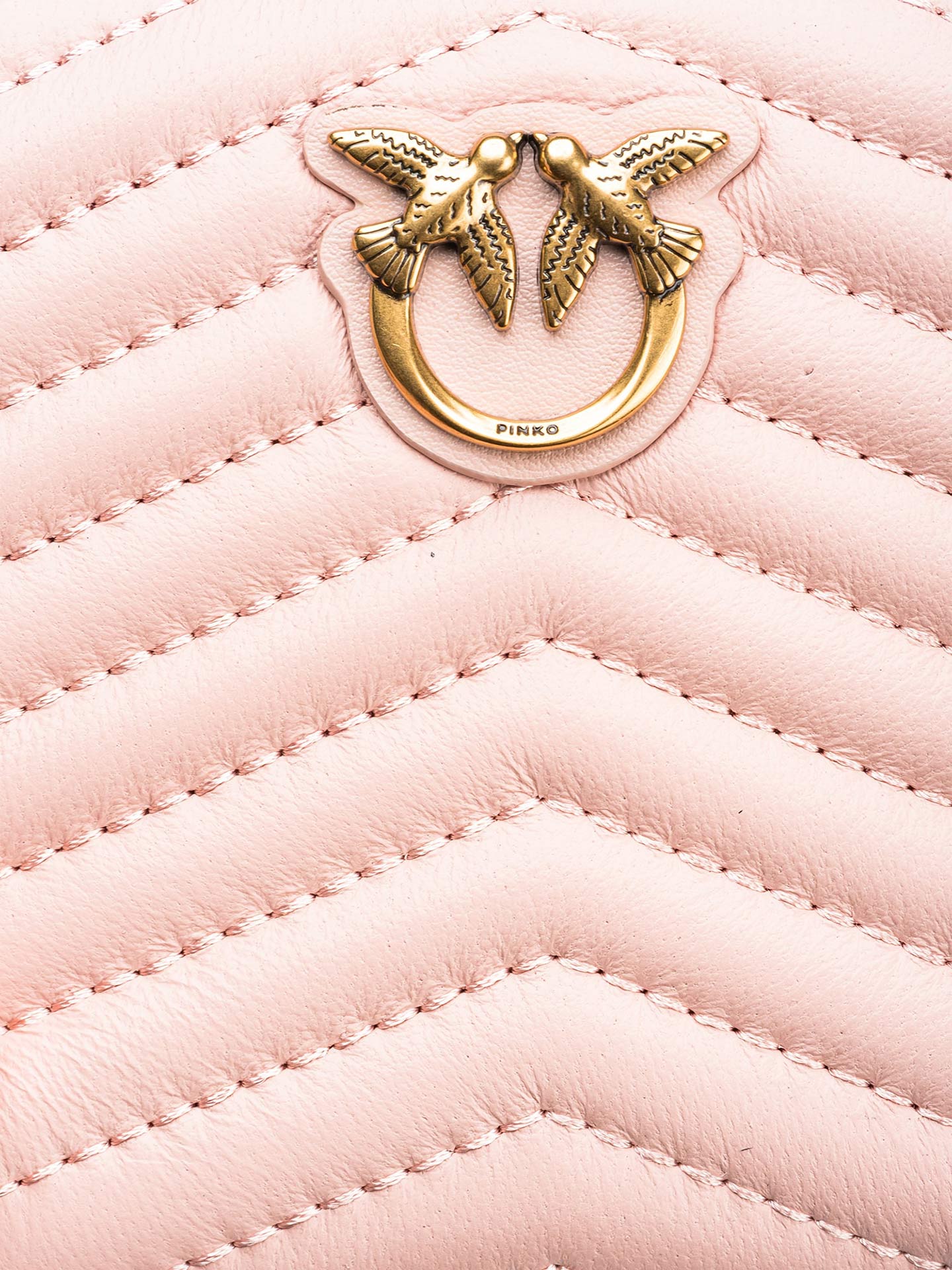 Porta Moedas Taylor Zip-Around