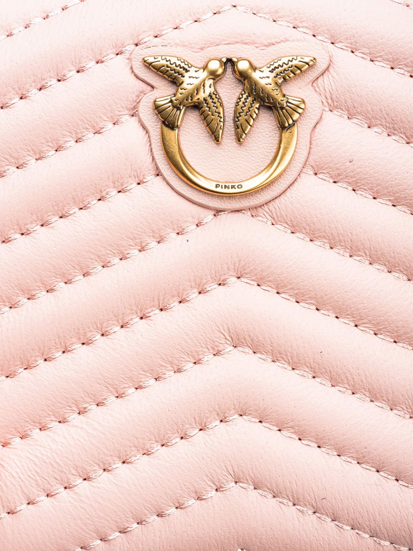 Porta Moedas Taylor Zip-Around