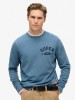 Sweatshirt de Algodo