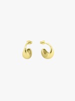 Dourado Dourado