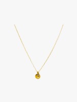Dourado