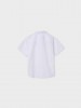Camisa de Algodo