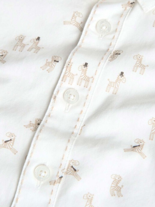 Camisa de Algodo