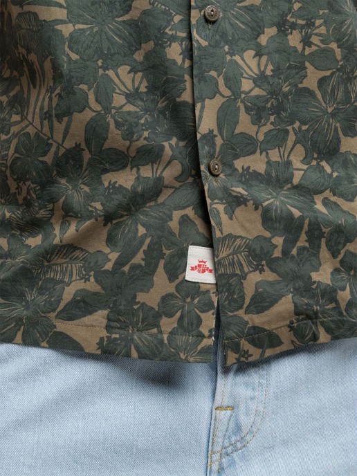 Camisa de Algodo