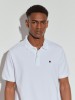 Polo de Algodo
